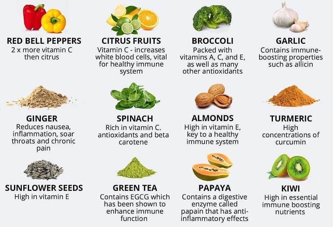 Foods to boost your Immune system